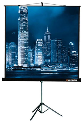 Изображение Экран для проектора Lumien Master View LMV-100101 1:1