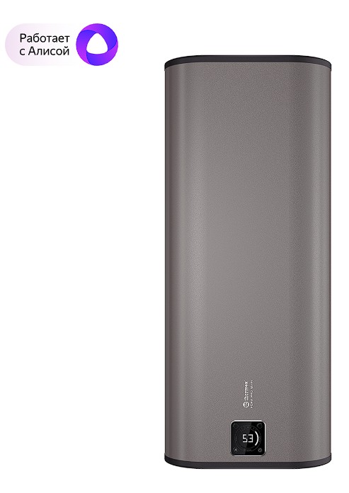 Изображение Водонагреватель Thermex Fora 100 (pro) Wi-Fi (100 л /2 кВт/нержавеющая сталь)