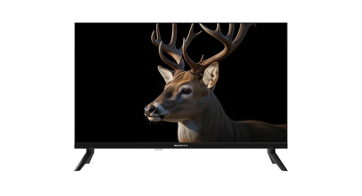 Изображение Телевизор Topdevice TDWC24BH3260V 24" 720p HD Smart TV черный